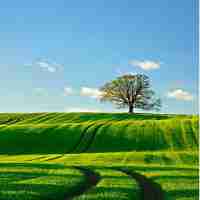 react框﻿架‌ 插‌件‍